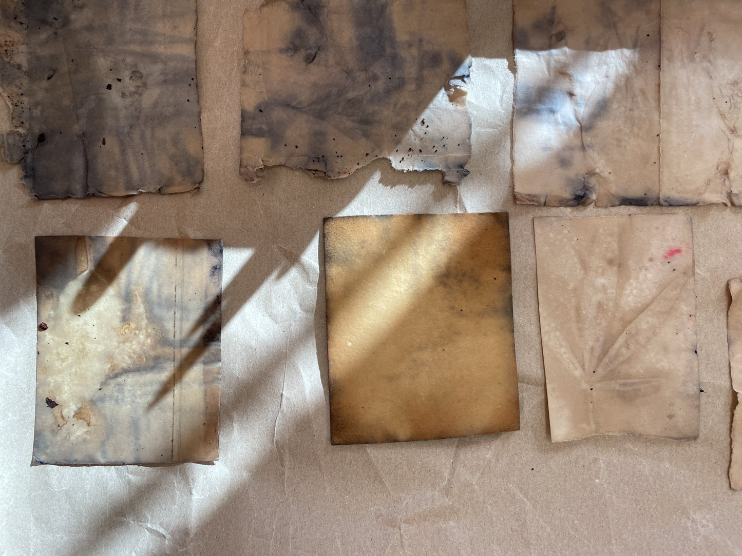 Eco Print Media Workshop