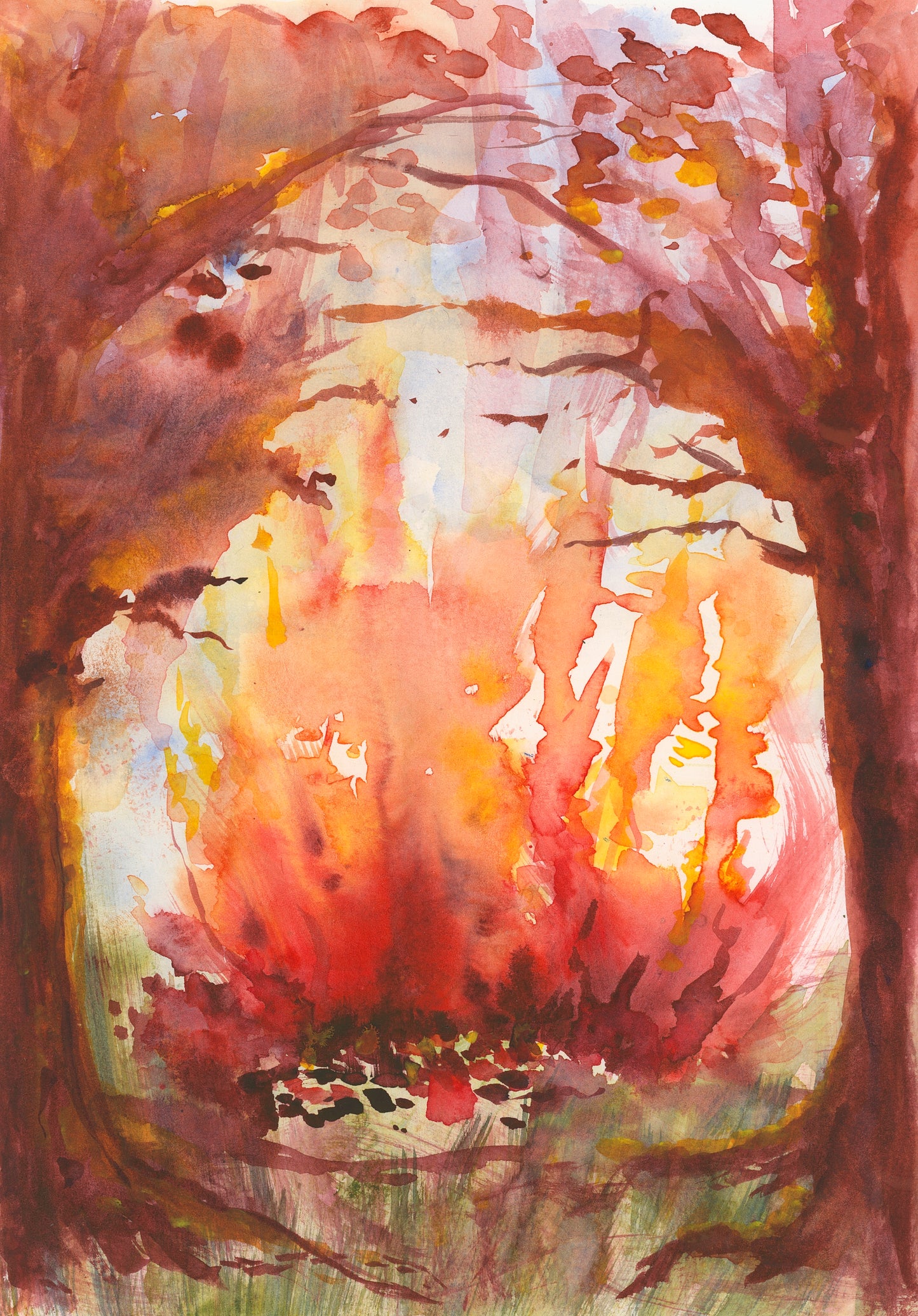 'Autumn Flame' Artist Print Clare Campbell
