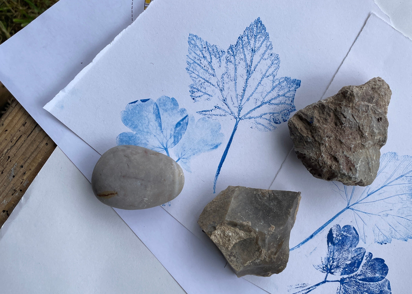 Eco Print Media Workshop