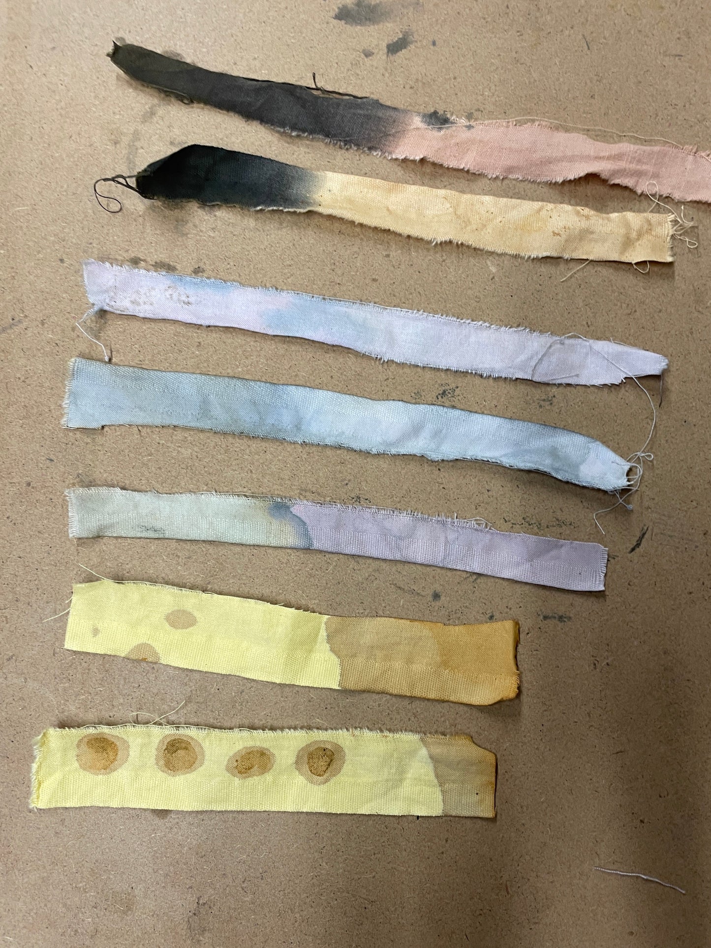 Botanical Dyes Workshop