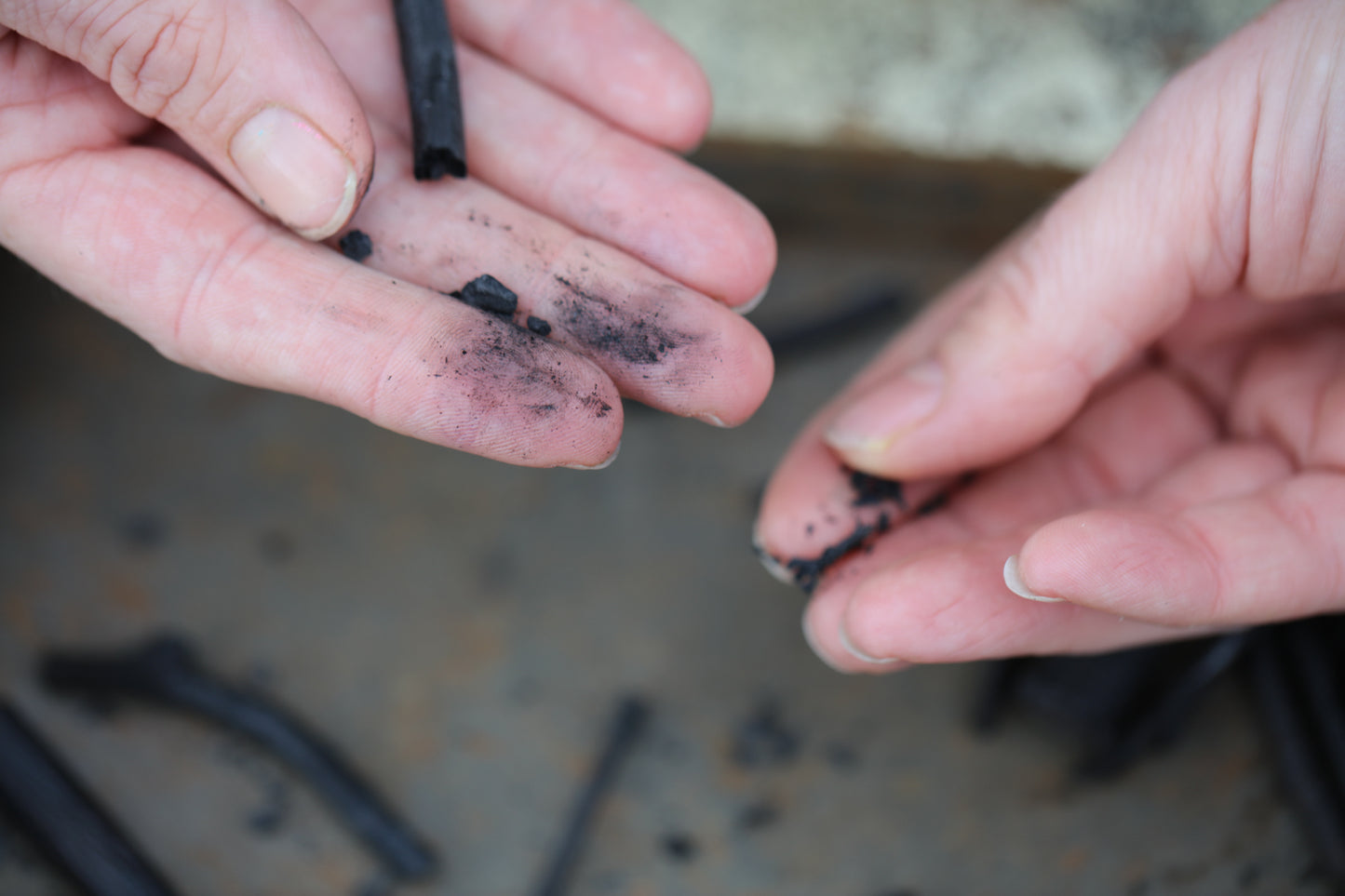 Tin of SILT Charcoal