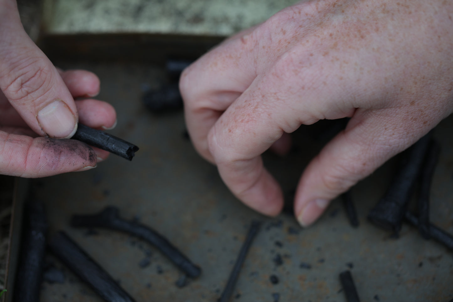Tin of SILT Charcoal