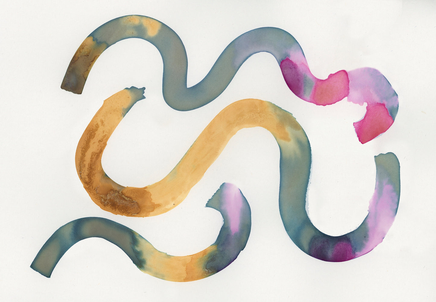 Botanical Inks | Colour Making Workshop