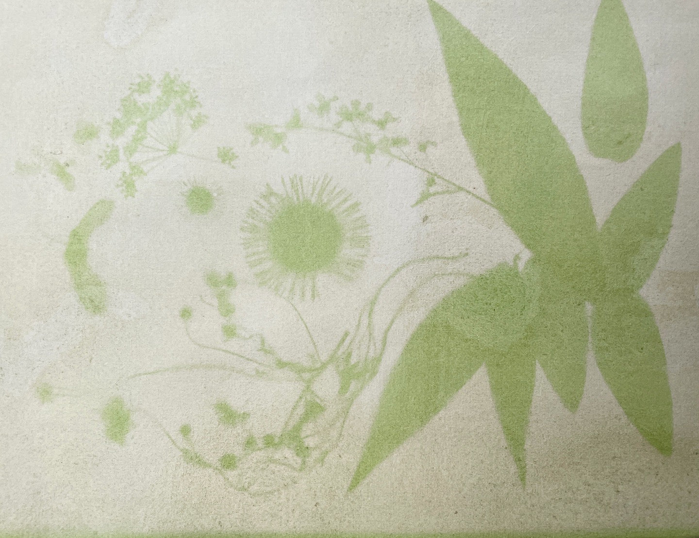 Sun Printing Weekend Workshop: Anthotypes & Cyanotypes
