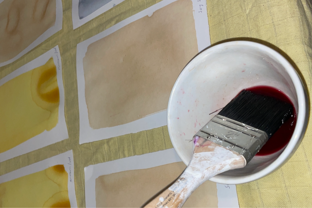 Sun Printing Weekend Workshop: Anthotypes & Cyanotypes