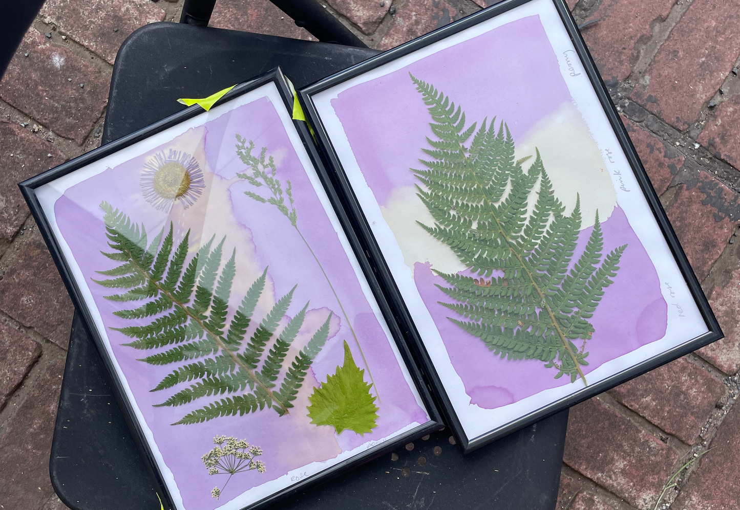 Sun Printing Weekend Workshop: Anthotypes & Cyanotypes