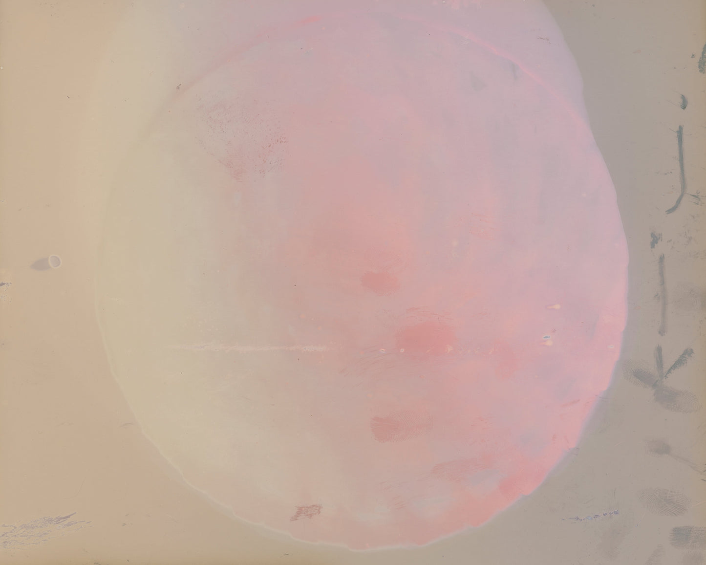 Sun Printing Weekend Workshop: Anthotypes & Cyanotypes