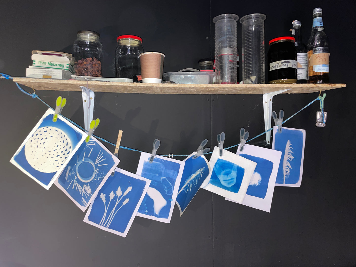 Cyanotype Printing Workshop for Young People