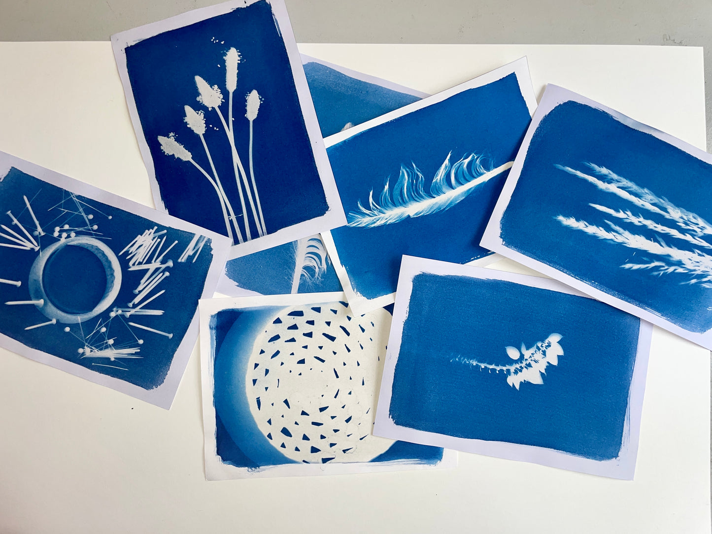 Cyanotype Printing Workshop for Young People