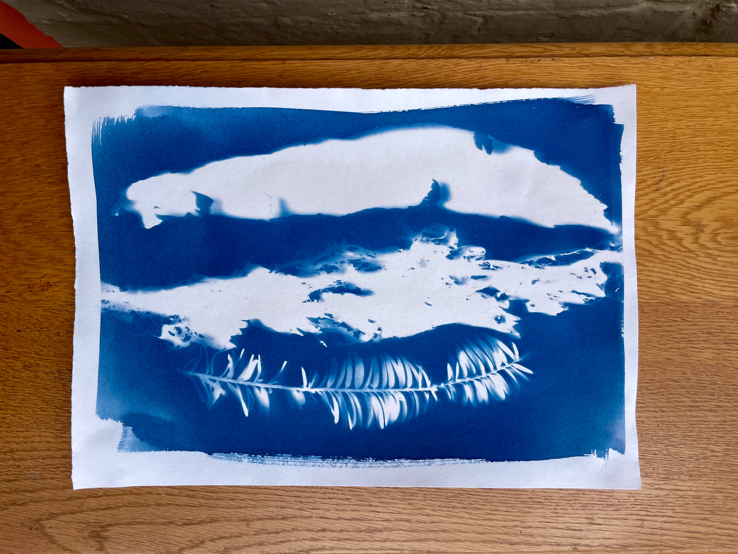 Cyanotype Printing Workshop for Young People