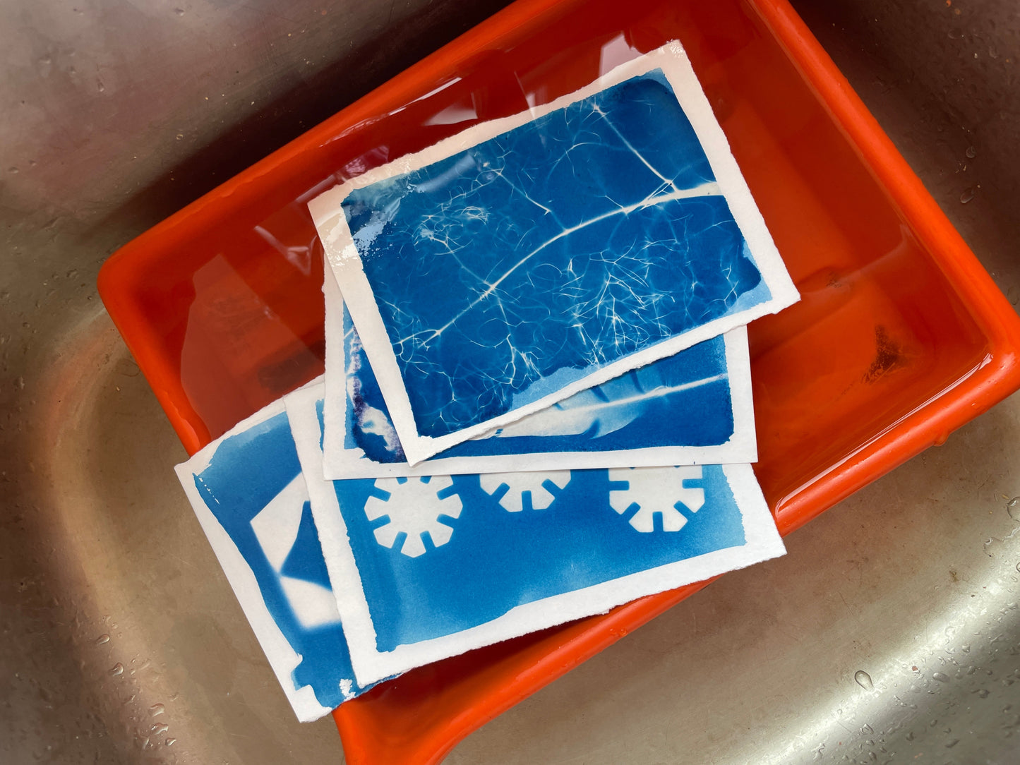 Cyanotype Printing Workshop for Young People