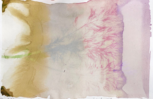 Sun Printing Weekend Workshop: Anthotypes & Cyanotypes