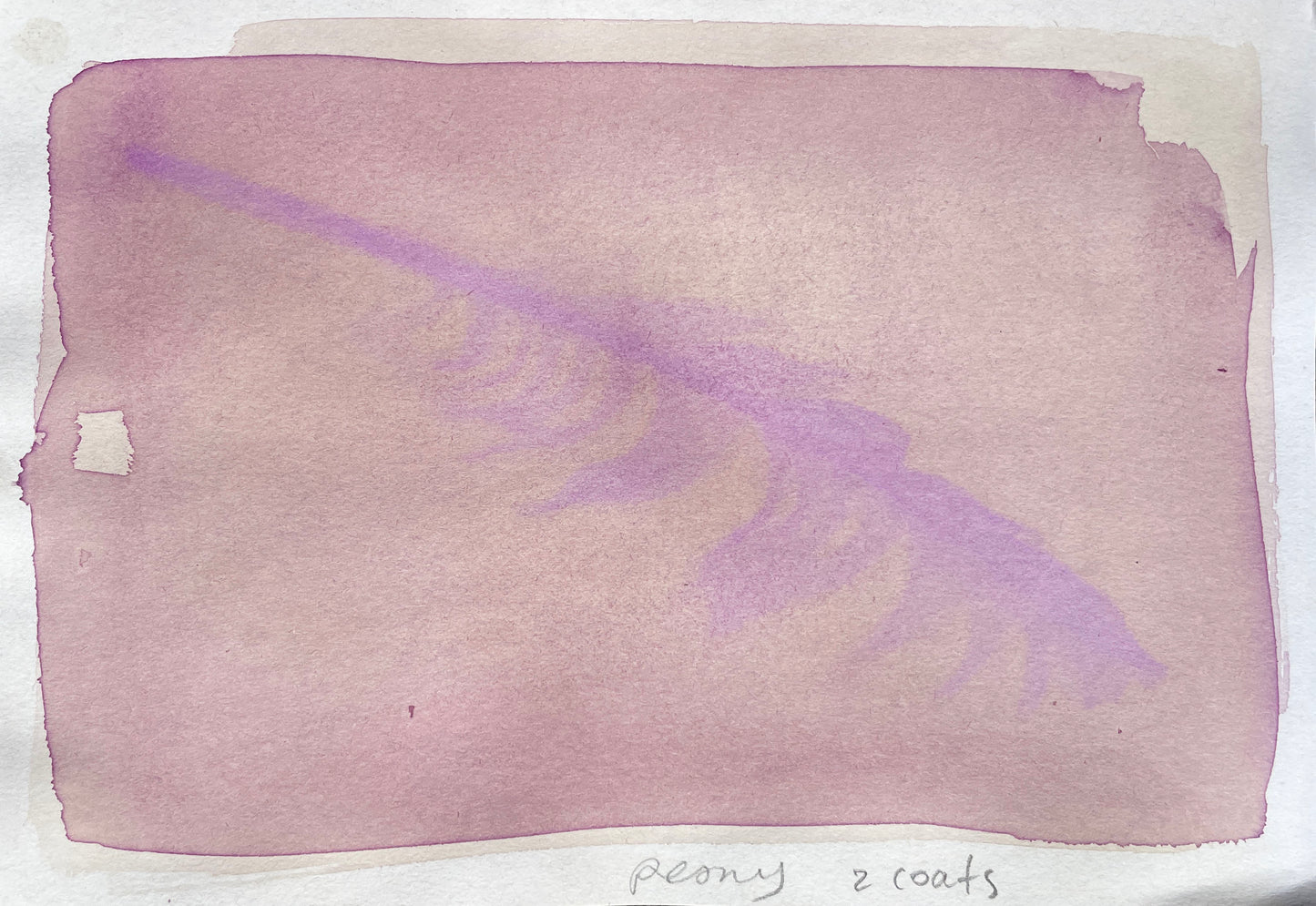 Sun Printing Weekend Workshop: Anthotypes & Cyanotypes